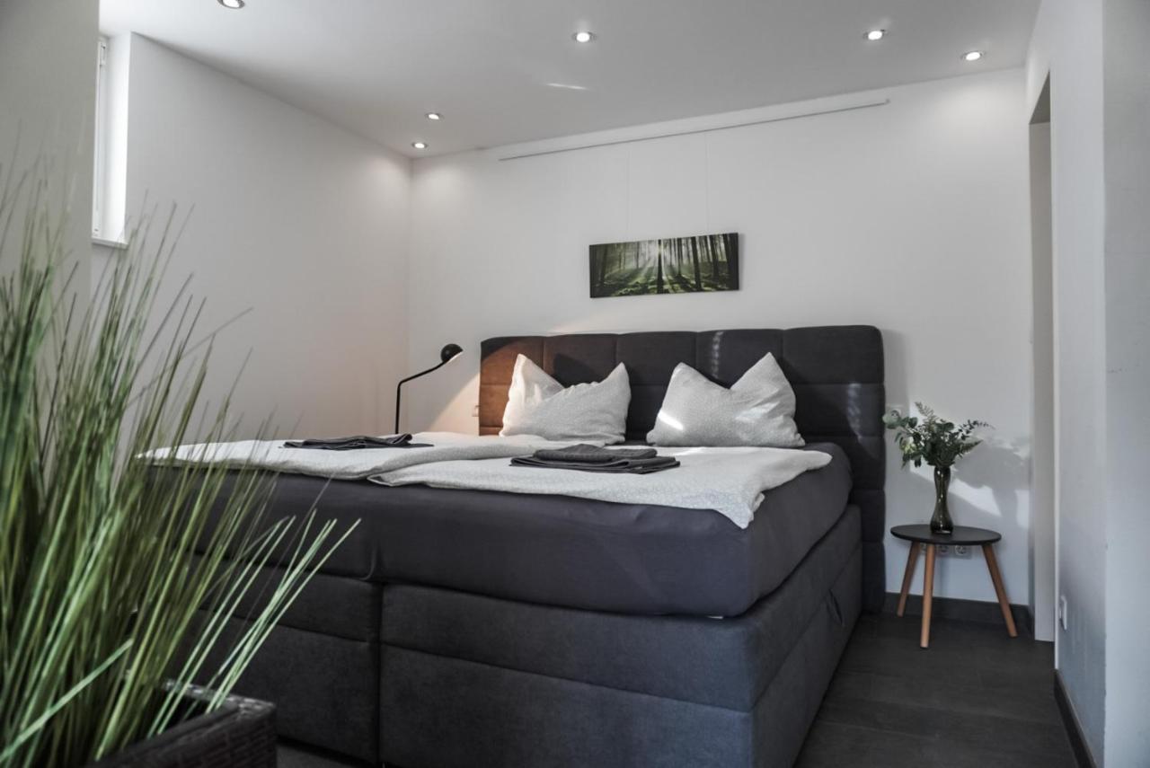 Neu Gebautes Apartment Mit Sonnenterasse In Der Naehe Vom Siebengebirge & Bonn Königswinter Extérieur photo